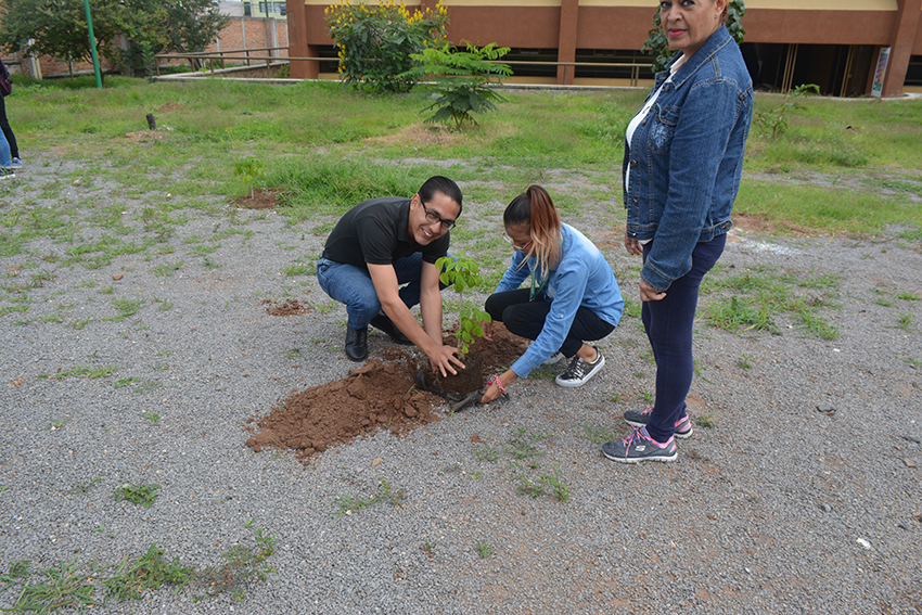 Reforestación en UTJ